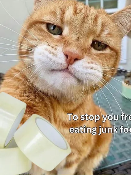 Sending this to a friend who might need a little extra help taping up their eating habits. We all know someone.