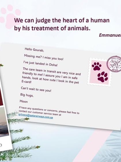 Global Pet Cab - International Pet Relocation Pet Travel Explained photo 13