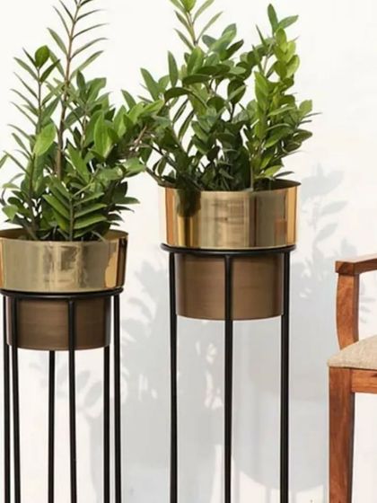 Another elegant option for tall planters. This design features a gold-rimmed pot that rests on a tall, slender black metal stand, perfect for holding indoor plants like the ZZ plant shown here.
