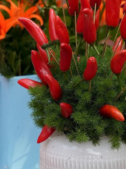 Neha Dua - Themed Wedding Design & Production Vibrant Fiestas: Mexican & Carnival Themes photo 46