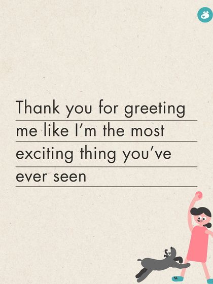 The Pack - Online Pet Parent Community The Fun Side of Pet Parenting photo 24