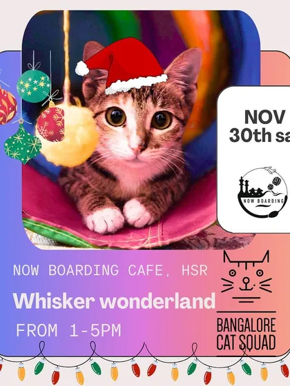 Step into a purr-fect paradise at our Whisker Wonderland Christmas adoption camp at Now Boarding Cafe, HSR. Meet our bundle of floofs and find your furry BFF.