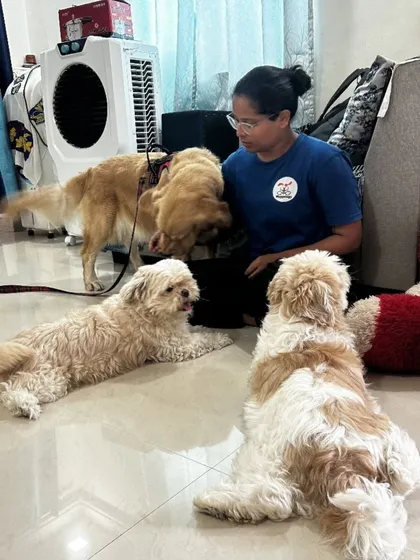 Managing a home with multiple dogs is my specialty. Here, I am spending quality time with a wonderful group of pups. Each one gets the individual attention they need, and I ensure that group dynamics remain positive and calm, just as if you were there.