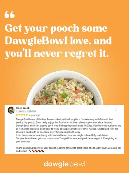 I want every pet parent to feel they'll never regret choosing our food. This review from Zoey's parent confirms that our human-grade, nutritious meals, combined with our supportive team, make for a 5-star experience.