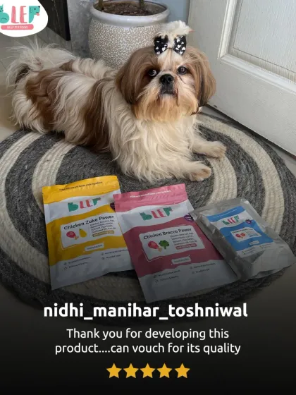 A simple, powerful review from a happy customer who can vouch for our quality. This stylish Shih Tzu agrees.