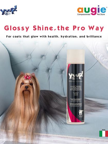 Augie Pets - Pet Grooming Services Shampoos & Conditioners for Every Coat photo 9