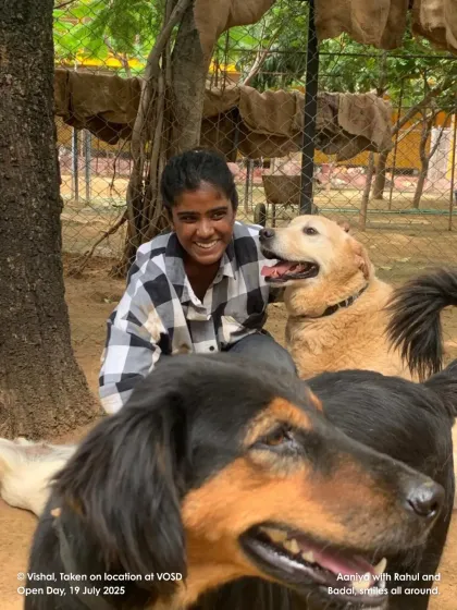 A guest shares a moment with Rahul and Badshah. Our Open Farm Day allows visitors to meet the individual personalities that make up our 1800+ dog family.