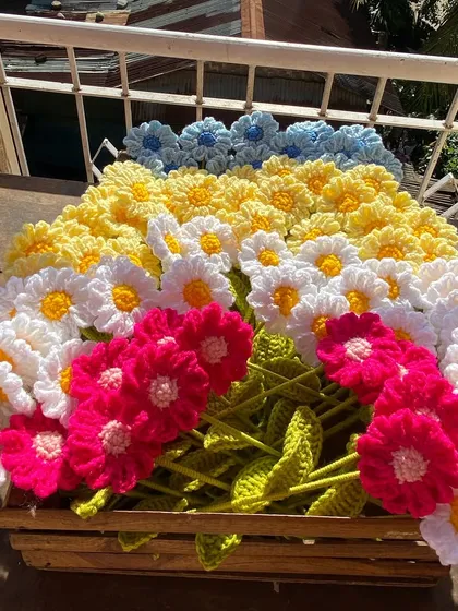 A colorful array of daisy stems in a wooden crate, sunbathing on the balcony.