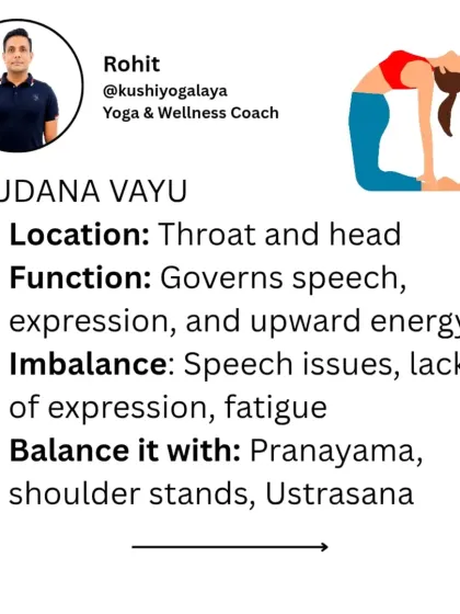 Rohit N - Yoga Teacher Training The Science of Yoga & Ayurveda photo 23