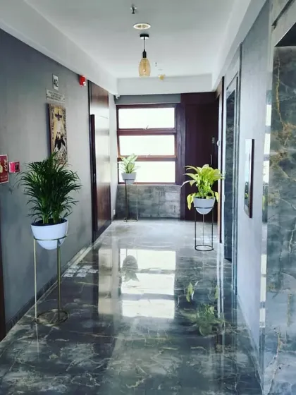 Plants are lovely additions that make a house feel like a home. Here, we used elegant planters on stands to elevate simple indoor plants, brightening up a building lobby.