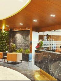 Vertical Garden & Living Wall Installation