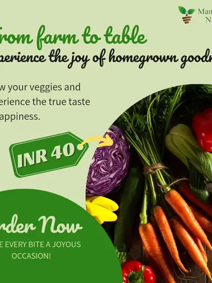 Imagine stepping into your garden to pick fresh vegetables for dinner. I can make that a reality by designing and setting up a productive kitchen garden for you. This graphic highlights how easy it is to start growing your own delicious, homegrown produce.