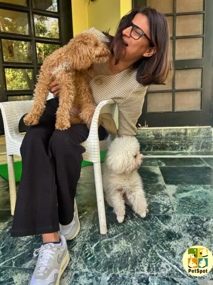 Playful kisses from Archie. We build genuine, affectionate relationships with the pets who board with us, making them feel like part of our family.