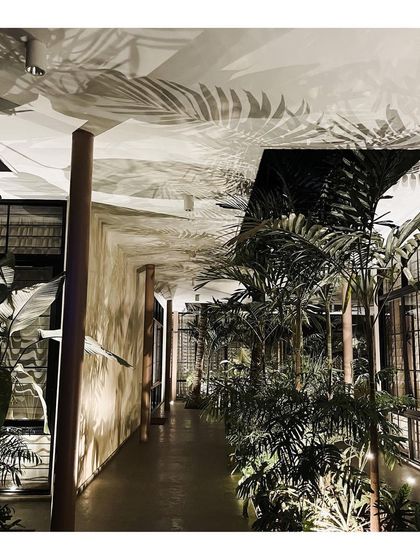 A night view of a residential project, showing the play of light and shadow created by interior lighting and dense foliage. The palm leaf shadows cast on the ceiling create a natural, ever-changing pattern, bringing the outdoors in.