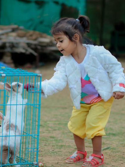 Farmus - Private Parties & Events Our Furry & Feathered Friends photo 21