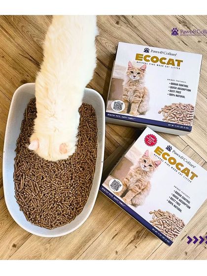 PawsnCollars - Pet Supplies For Our Feline Friends photo 25