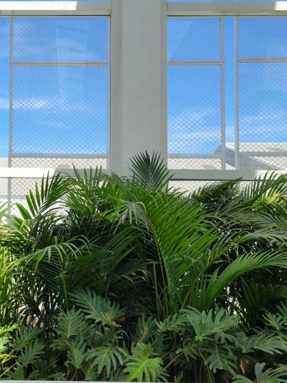A view from inside an industrial building, looking out through large windows. The lush tropical plants outside, including palms and philodendrons, create a beautiful natural screen that contrasts with the clean lines of the architecture.