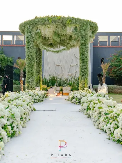 A walk to remember. This serene aisle, lined with a lush carpet of white hydrangeas and roses, leads to a mandap that feels like a piece of heaven on earth. It’s pure, timeless elegance.