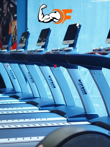 A lineup of modern treadmills in our dedicated cardio section. Perfect for warming up, cooling down, or getting in a solid cardio session for weight loss.