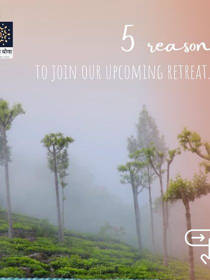 Pratyaksha Yoga - Yoga Retreats Retreats in the Tea Gardens photo 5