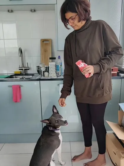 A quiet moment of training in the kitchen. Every interaction is an opportunity to strengthen the bond and understanding between a pet and their person.