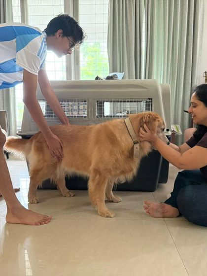 Global Paws: Asia, Africa & Beyond photo 15