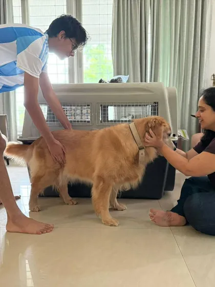 A heartfelt goodbye. Cherry gets some final pets from her family before she begins her journey to Dubai.