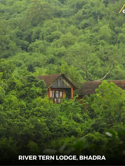 A lone cottage peeking out from the dense forests of the Bhadra Tiger Reserve. This is the River Tern Lodge, where you are truly immersed in nature.