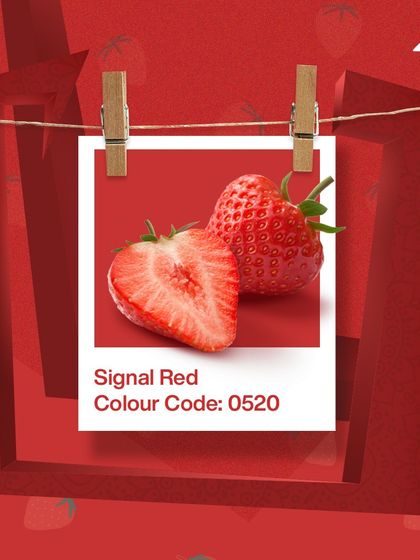 Paint My Walls - Painting Services Free Color Consultation & Inspiration photo 104