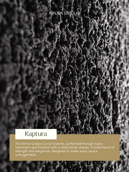 Our 'Raptura' texture on Stone Galaxy Coral Granite. This surface is perfected through a hydro treatment and finished with a sleek black stainer, creating a bold blend of strength and elegance.