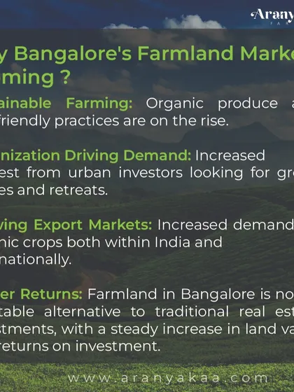 Bangalore's farmland market is booming due to a confluence of factors. These include the rise of sustainable farming, urbanization driving demand for green retreats, growing export markets, and higher returns compared to traditional real estate.