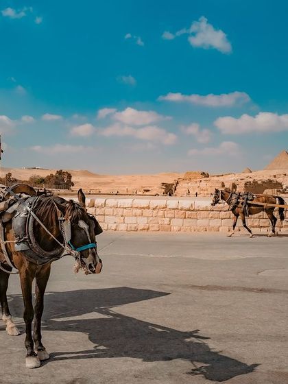 A horse-drawn carriage, a common mode of transport for tourists, waits for passengers at the Giza plateau.