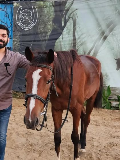 A Dynamic Backdrop for Photoshoots photo 44