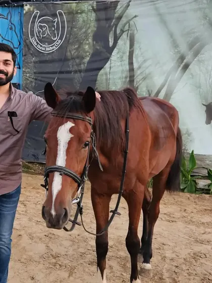 A rider poses with his horse in front of our club's banner, a great memory of his jungle safari trail experience.