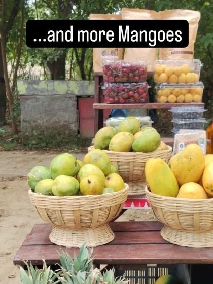 Baskets filled with ripe papayas and green Langda mangoes, ready for the day's market.
