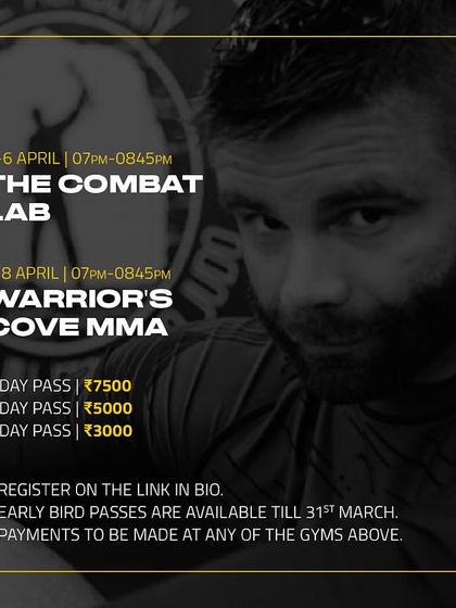 International BJJ Masterclasses photo 12