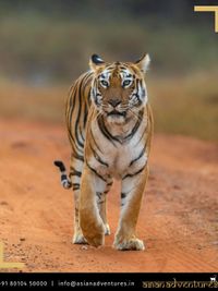 Wildlife & Nature Expeditions