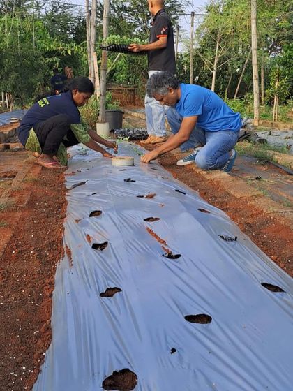 Make My Garden - Event Hosting & Workshops Our Garden & The People Behind It photo 5