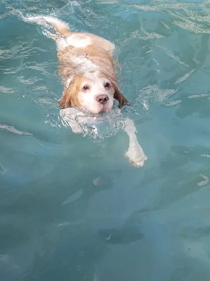 A confident swimmer enjoying the water. We help even first-time swimmers get comfortable in the pool under careful supervision.