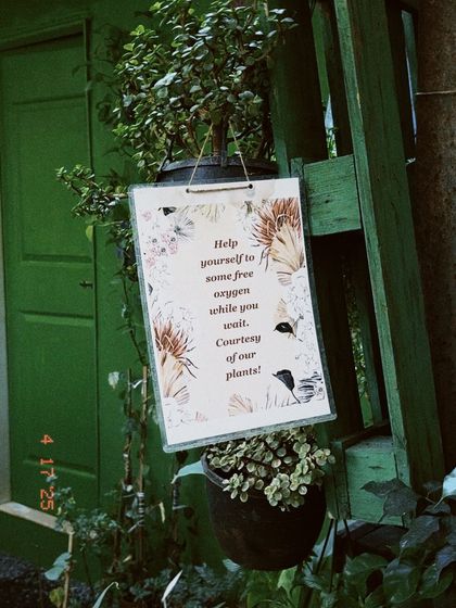 Our Plant Nursery photo 10