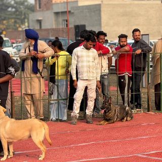Ashish Kumar