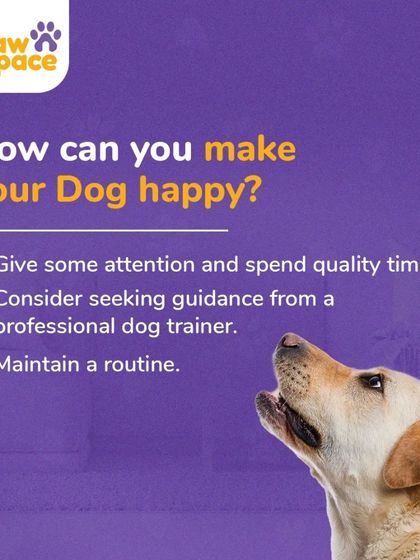 PawSpace - Pet Training Solving Common Behavior Problems photo 13