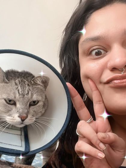 Me with Magic, one of the senior cats who received post-op care. Senior cats need extra love and attention during recovery, and I am always here to provide it. Just look at that grumpy, adorable face!