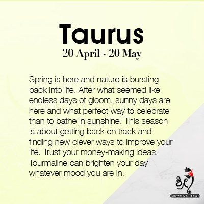 Horoscope, Career & Life Path Analysis photo 4