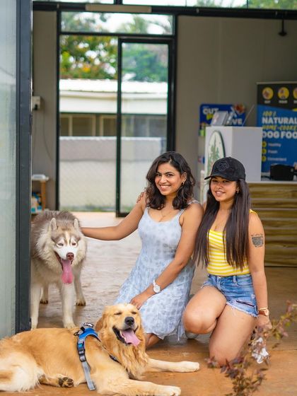 The Pawsome Camp - Dog Park & Pool Paws & People: A Community of Dog Lovers photo 13