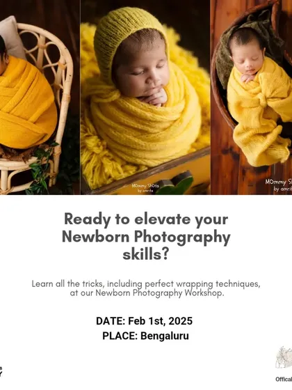 A collection of beautiful newborn portraits in a yellow theme, showing consistency in color and style.