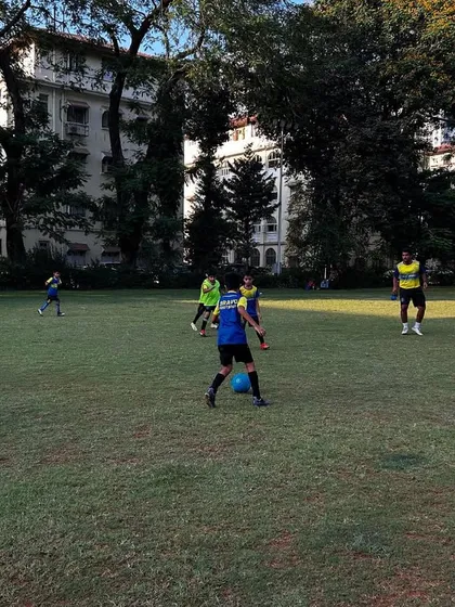 A training session taking place on a lush green grass field surrounded by trees. This image captures the simple joy and ideal setting for a game of football.