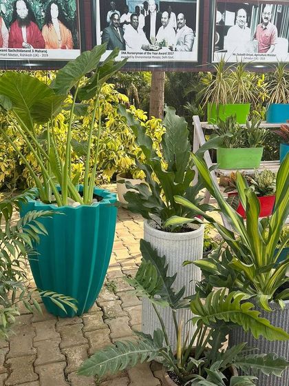 We stock a variety of large, colorful, and textured planters suitable for statement plants. This display shows a mix of modern ribbed and geometric pots in bold and neutral colors.