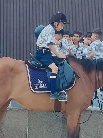 Every journey begins with a first step. Our instructors provide full support to ensure even the youngest riders feel safe and secure as they are introduced to the horse.