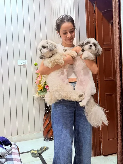 Look at that happy family! Koko is finally home in India after his journey from Canada, reunited with his best friends. I love seeing them all together again, happy and settled.